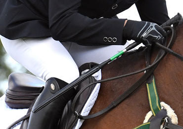 The New Show Jumping Whip Rule Explained