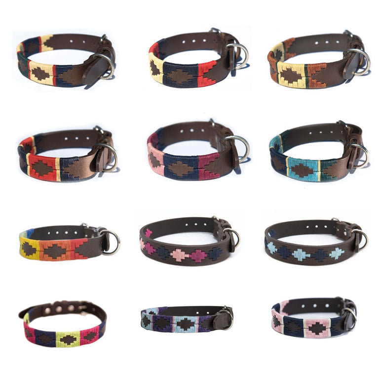 Dog Collars Leads Leather Dog Collars Kentucky Dog Collars Equiport Equestrian