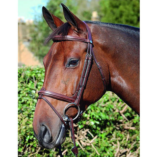 Dy'on New English Collection Flash Bridle B111