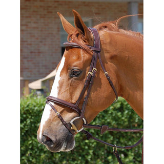 Dy'on Collection Flash Noseband Bridle B131