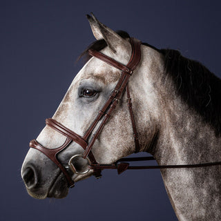 Dy'on New English Double Noseband Bridle - Brown