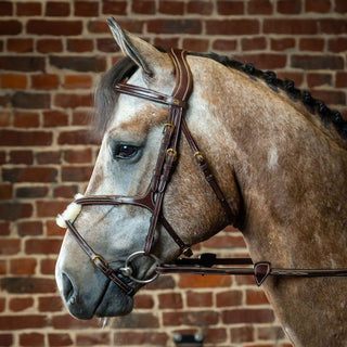 Dy'on D Collection Grackle Noseband Bridle - Brown