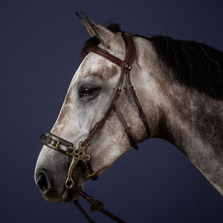 Dy'on New English Hackamore Bridle - Brown