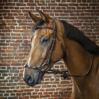 Dy'on D Collection Adjustable Drop Noseband Bridle - Brown