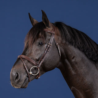 Dy'on US Collection Flash Noseband Bridle - Brown