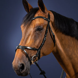 Dy'on New English X-Fit Bridle - Black