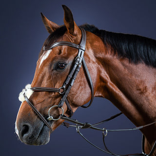 Dy'on Working Collection Grackle Noseband Bridle - Brown