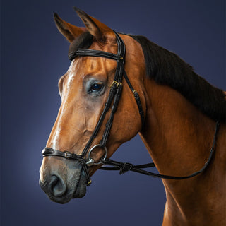 Dy'on D Collection Adjustable Drop Noseband Bridle - Black