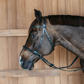 Dy'on Working Collection Bitless Bridle - Black