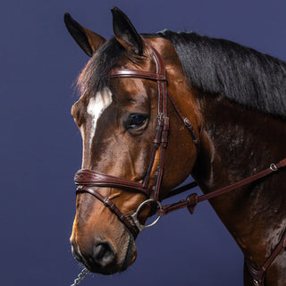 Dy'on New English Anatomic Flash Noseband Bridle - Brown