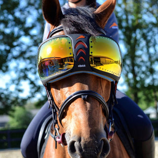 eQuick eVysor Equine Goggles