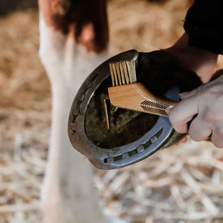 Grooming Deluxe Hoof Pick with Metal Bristles