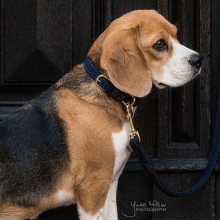 Kentucky Dogwear Plaited Nylon Dog Collar - Navy