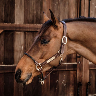 Kentucky Horsewear Leather Rope Headcollar - Brown