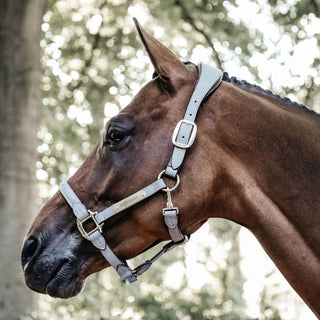 Kentucky Horsewear Anatomic Suede Headcollar - Grey