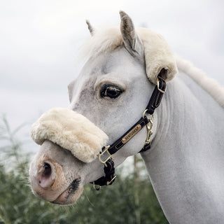 Kentucky Horsewear Pony Sheepskin and Leather Headcollar