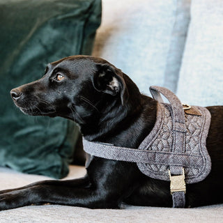 Kentucky Dogwear Wool Body Safe Dog Harness - Grey