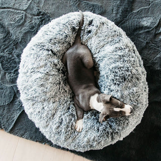 Kentucky Dogwear Comfort Donut Dog Bed - Grey