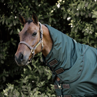 Kentucky Horsewear Pro All Weather Turnout Neck Cover 150g - Pine Green