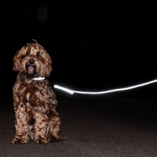 Kentucky Dogwear Reflective Dog Lead - 2m