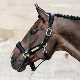 Kentucky Horsewear Velvet Headcollar - Black