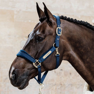 Kentucky Horsewear Velvet Headcollar - Navy