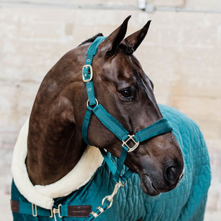 Kentucky Horsewear Velvet Headcollar - Emerald