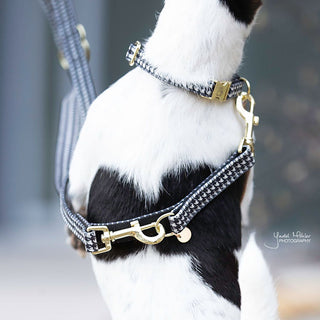 Kentucky Dogwear Pied-de-Poule Dog Lead - Black