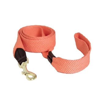 Kentucky Dogwear Jacquard Dog Lead - Neon Orange