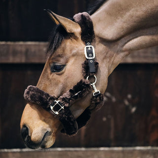 Kentucky Horsewear Sheepskin Headcollar - Brown