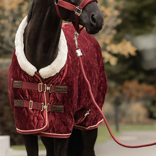 Kentucky Horsewear Lead Rope Basic - Bordeaux