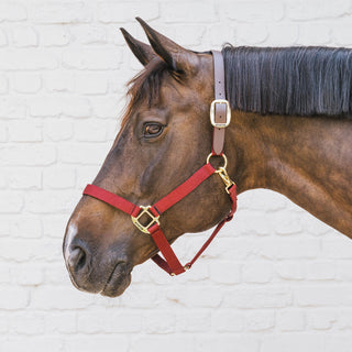 Kentucky Horsewear Nylon Breakaway Headcollar - Bordeaux