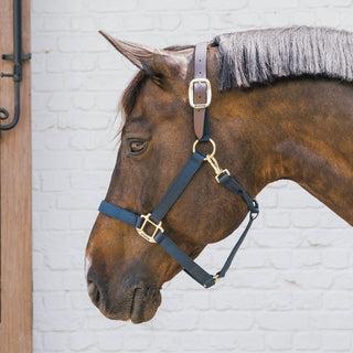 Kentucky Horsewear Nylon Breakaway Headcollar - Navy