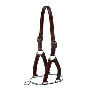 Stephens Leather Controller Headcollar