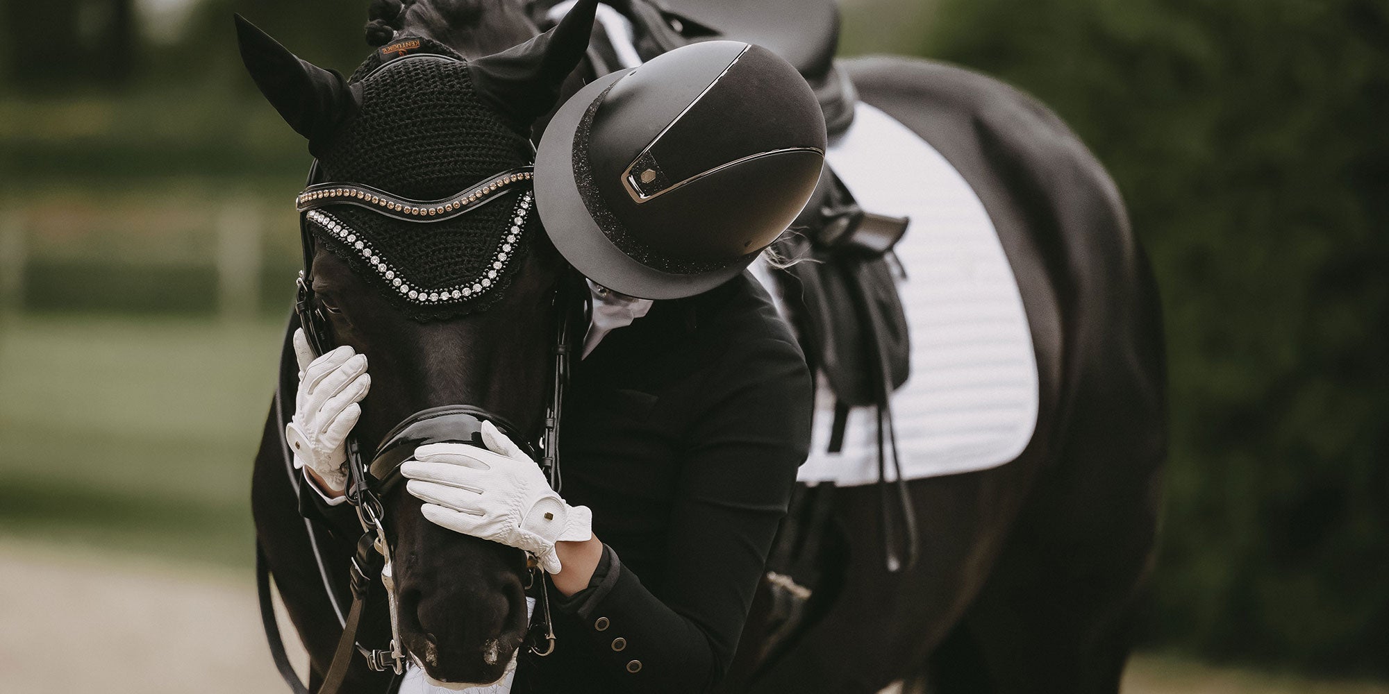 Dressage rider and horse