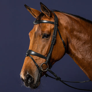 Dy'on New English Anatomic Flash Noseband Bridle - Black