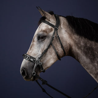 Dy'on New English Hackamore Bridle - Black