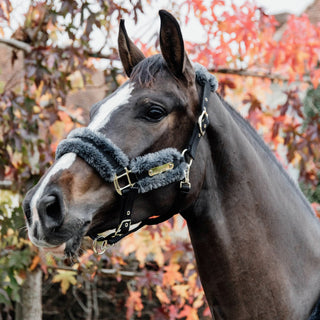 Kentucky Horsewear Nylon Sheepskin Headcollar - Grey