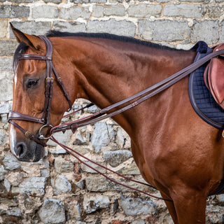 Dy'on D Collection Leather and Rope Draw Reins - Brown