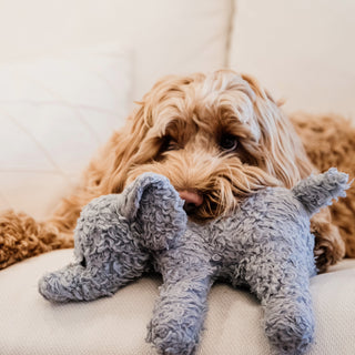 Kentucky Dogwear Elephant Dog Toy - Grey