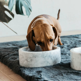 Kentucky Dogwear Large Marble Dog Bowl - Grey