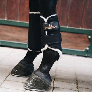 Kentucky Horsewear Solimbra Brushing Boots Front - Black