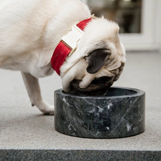 Kentucky Dogwear Small Marble Dog Bowl - Black