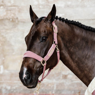 Kentucky Horsewear Velvet Headcollar - Old Rose